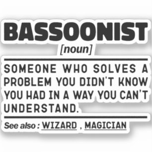Bassoonist Noun Definition Musical Instrument Cool