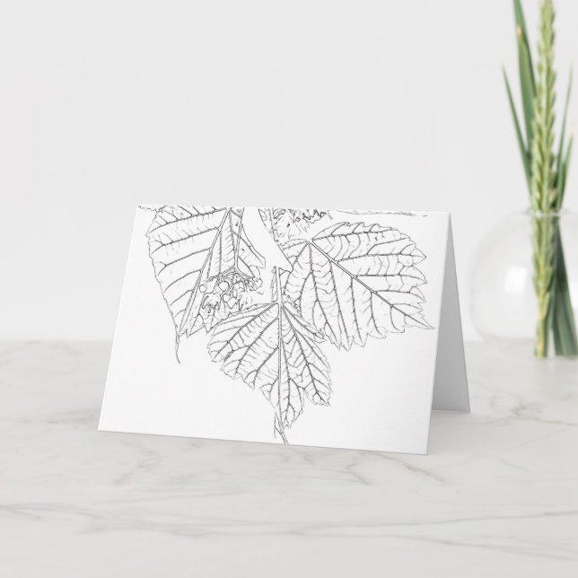 Basswood Leaves Card (Front)