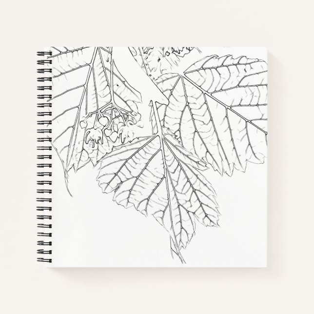 Basswood Leaves Notebook (Front)