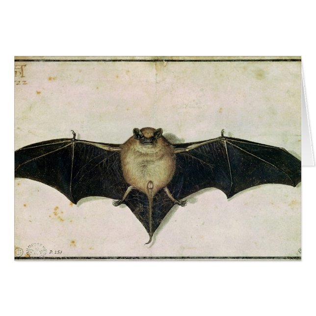 Bat, 1522 (Front Horizontal)