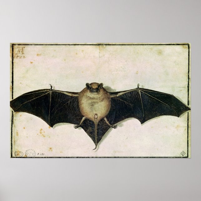 Bat, 1522 poster (Front)
