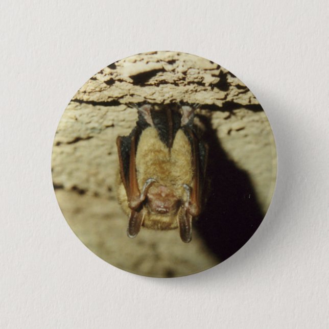 Bat 6 Cm Round Badge (Front)