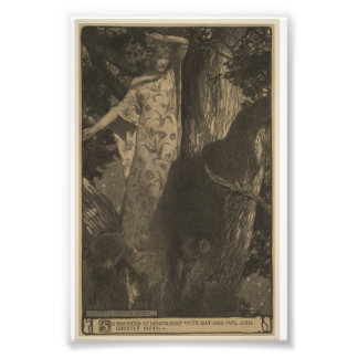 Bat and Owl Photo Print