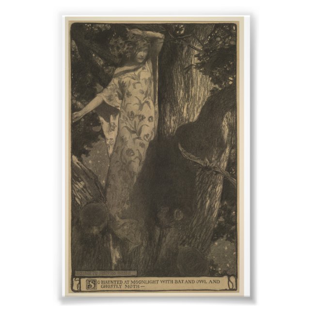 Bat and Owl Photo Print (Front)