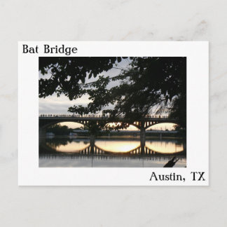 Bat Bridge in Austin, Texas Postcard