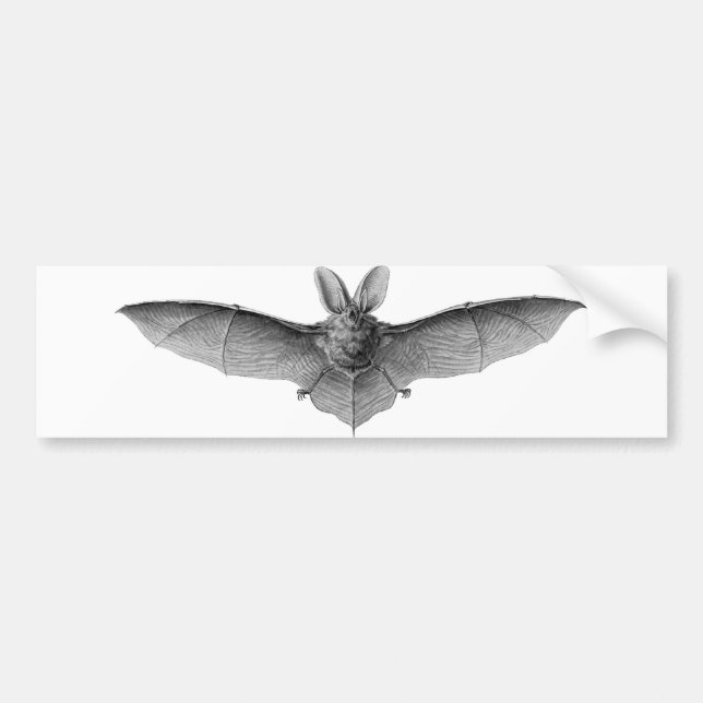 Bat Bumper Sticker (Front)
