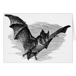 Bat Card