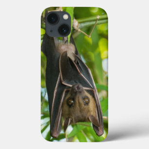 Bat iPhone 13 Case
