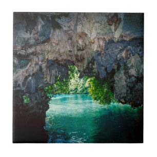 Bat Cave In Airai, Palau, Micronesia Tile