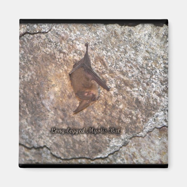 bat cave magnet (Front)