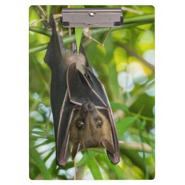 Bat Clipboard (Front)