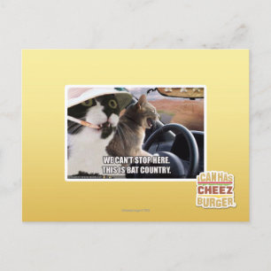 Bat country postcard