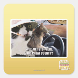 Bat country square sticker