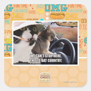 Bat country square sticker