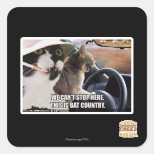 Bat country square sticker