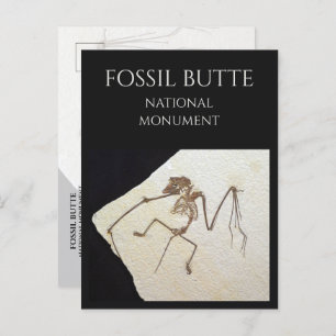 Bat Fossil, from Fossil Lake, Fossil Butte, WY Postcard