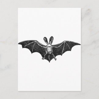 Bat illustration postcard