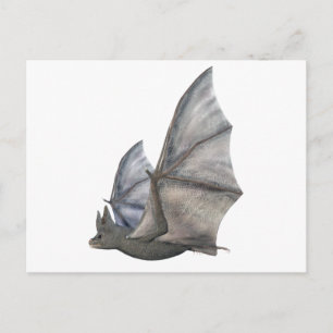 Bat In Side Profile with Wings in Upstroke Postcard