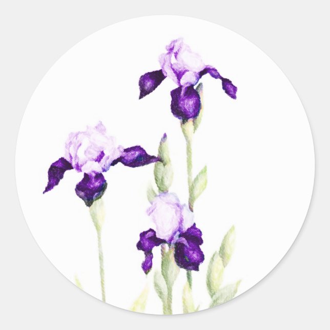 Bat Mitzvah Purple Irises Classic Round Sticker (Front)