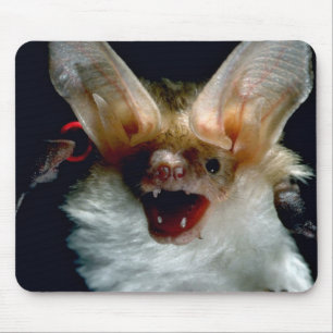 Bat Mouse Mat