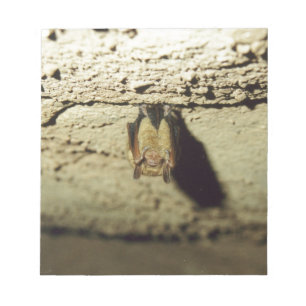 Bat Notepad