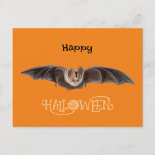 Bat Pipistrellus Illustration Happy Halloween Holiday Postcard