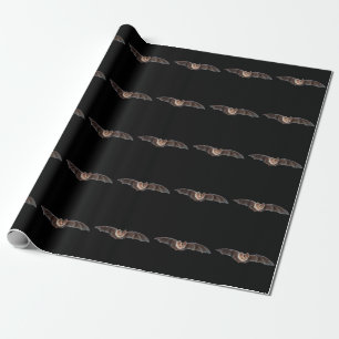 Bat Pipistrellus pipistrellus Illustration Black Wrapping Paper