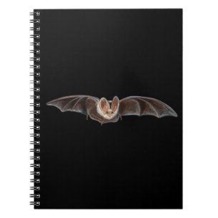 Bat Pipistrellus pipistrellus Illustration Notebook