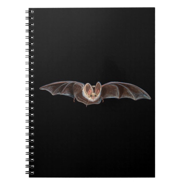 Bat Pipistrellus pipistrellus Illustration Notebook (Front)