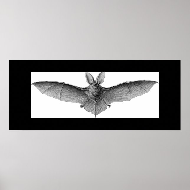 BAT POSTER (Front)