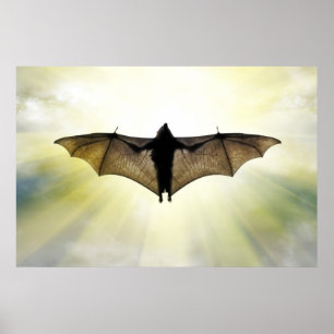 bat poster