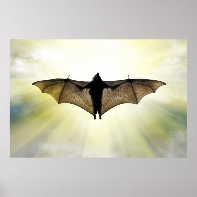 bat poster (Front)