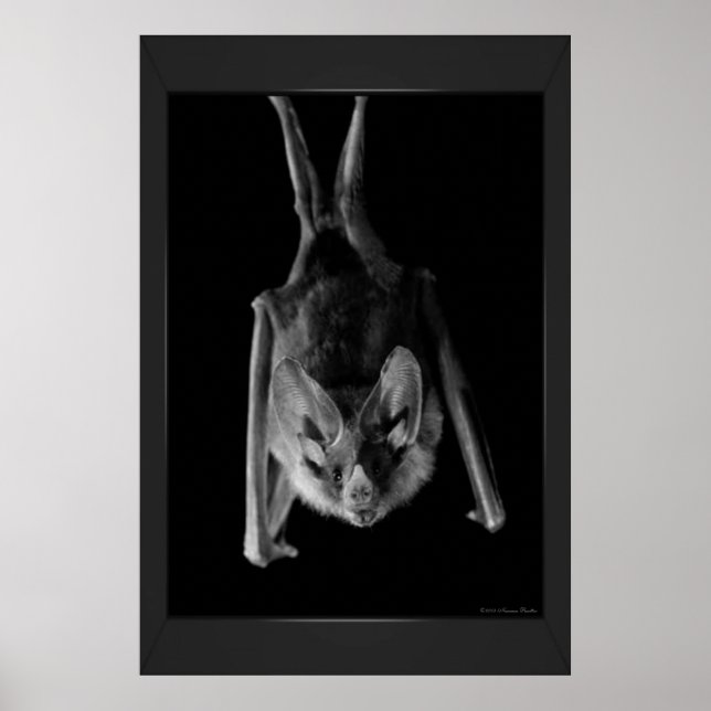 Bat Print (Front)