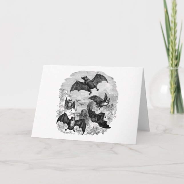 Bat Sketch Card (Front)