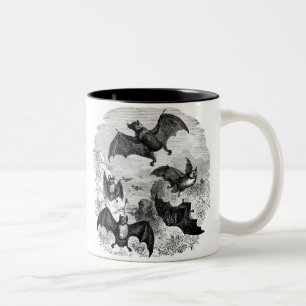 Bat Sketch Two-Tone Coffee Mug