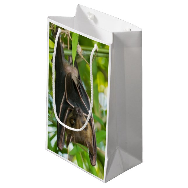 Bat Small Gift Bag (Front Angled)