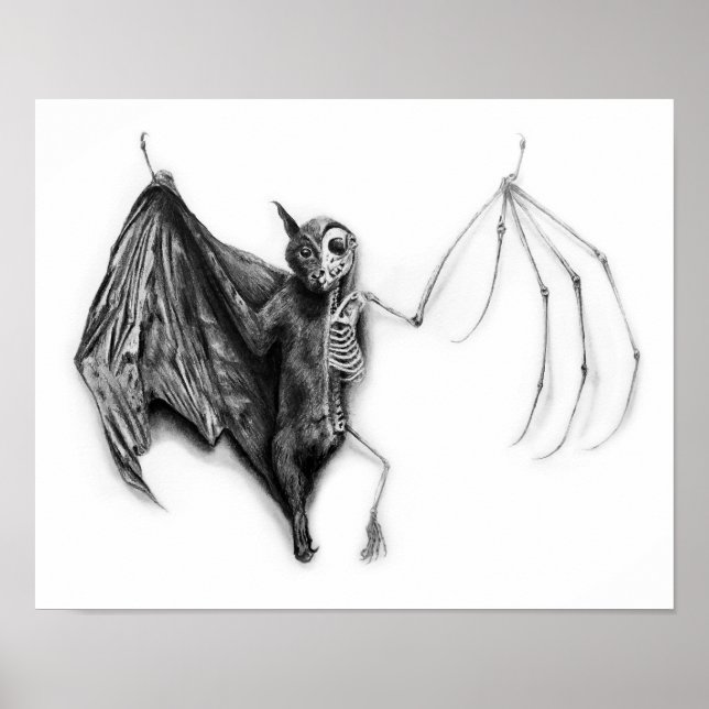 Bat Specimen Poster (Front)