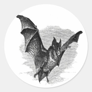 Bat Sticker
