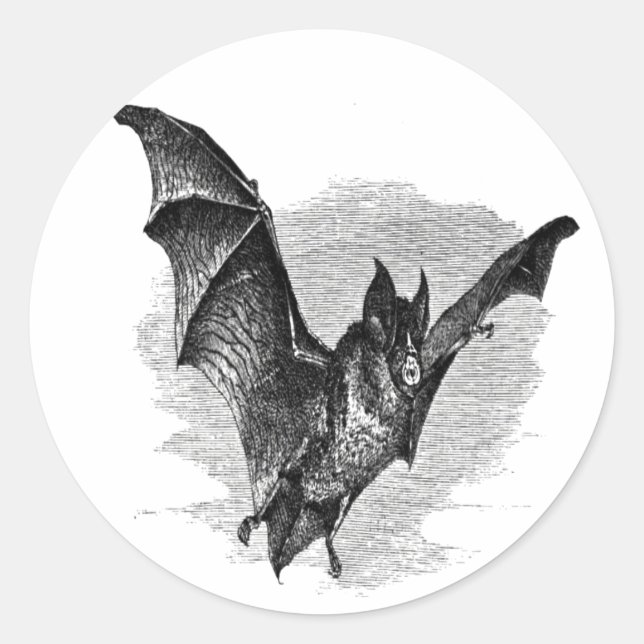 Bat Sticker (Front)