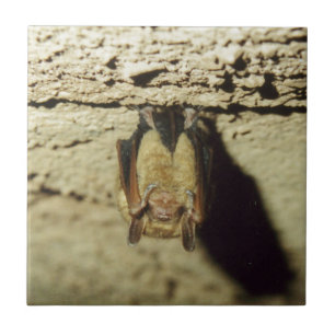 Bat Tile