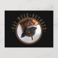 Bat Week, flying fox