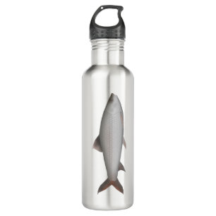 Bata 710 Ml Water Bottle