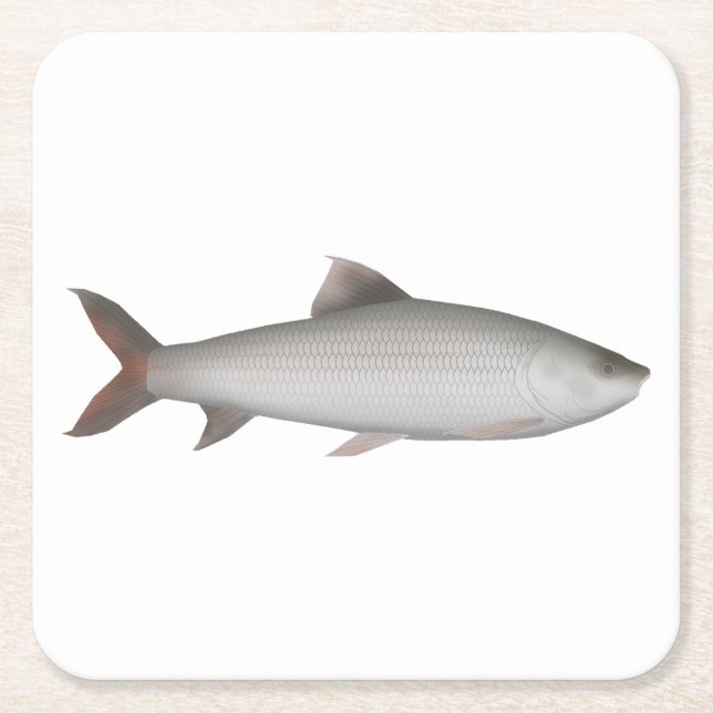 Bata Square Paper Coaster (Front)