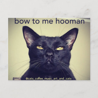 Batcat: Bow to me hooman Postcard