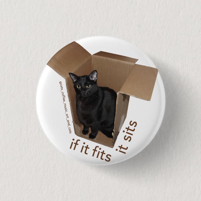 Batcat: It fits it sits Button (Front)