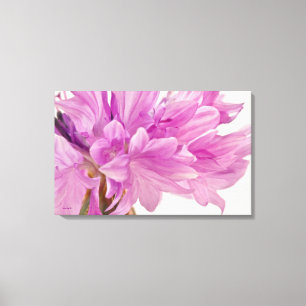 Batchelor Button Canvas Print