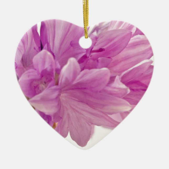 Batchelor Button Ceramic Tree Decoration (Front)