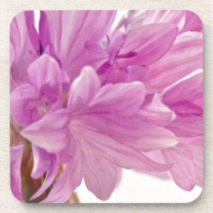 Batchelor Button Coaster