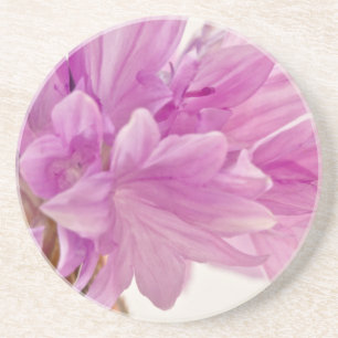 Batchelor Button Coaster