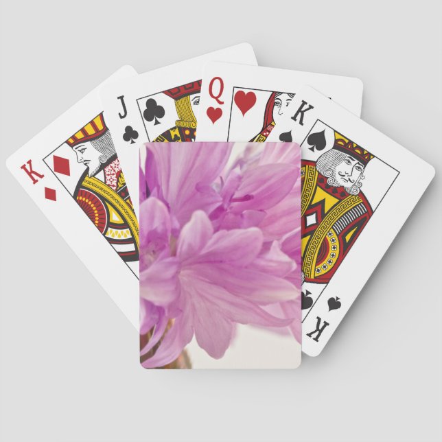 Batchelor Button Playing Cards (Back)